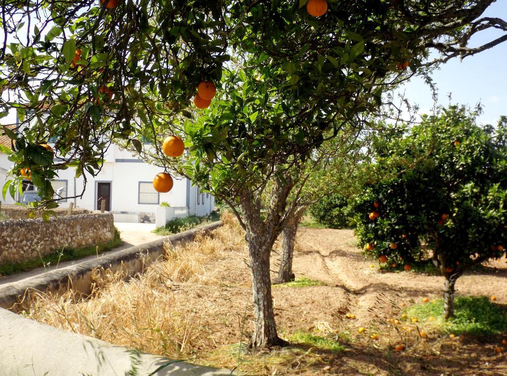 Casas Do Pomar Villa Lagos Szoba fotó